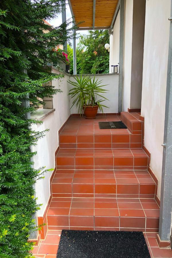 Ferienwohnung Alte Gaertnerei Thale Extérieur photo
